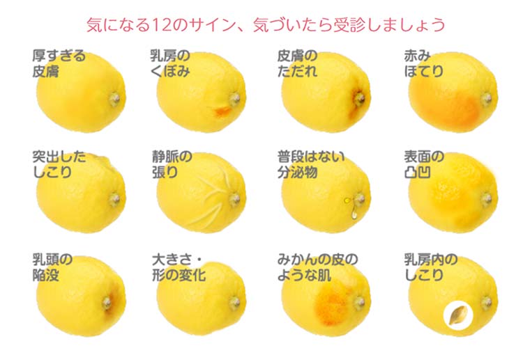 気になる12のサインを表すイメージ画像　厚すぎる皮膚、乳房のくぼみ、皮膚のただれ、赤み、ほてり、突出したしこり、静脈の張り、普段はない分泌物、表面の凸凹、乳頭の陥没、大きさ・形の変化、みかんの皮のような肌、乳房内のしこり