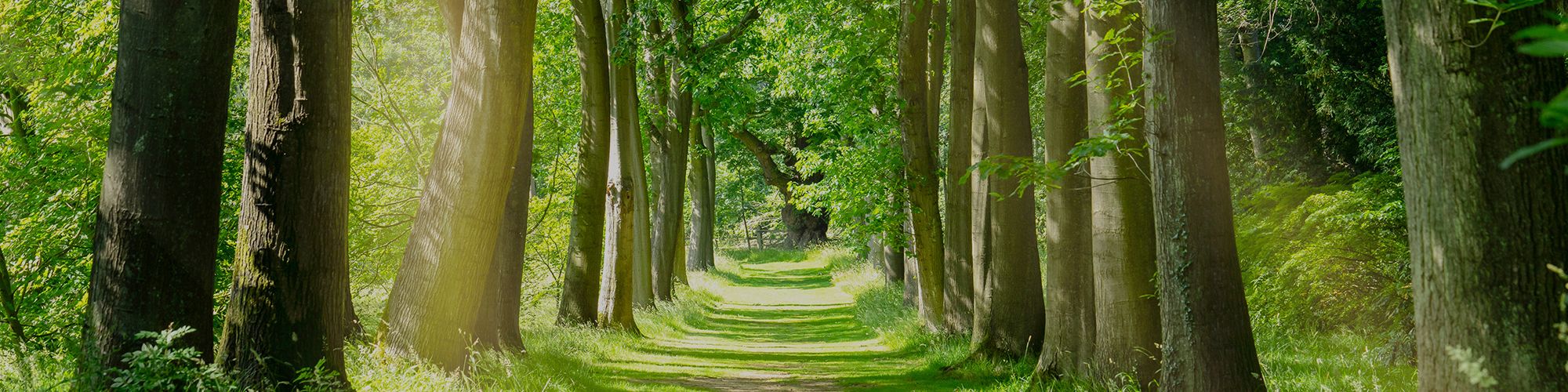 キービジュアルイメージ01